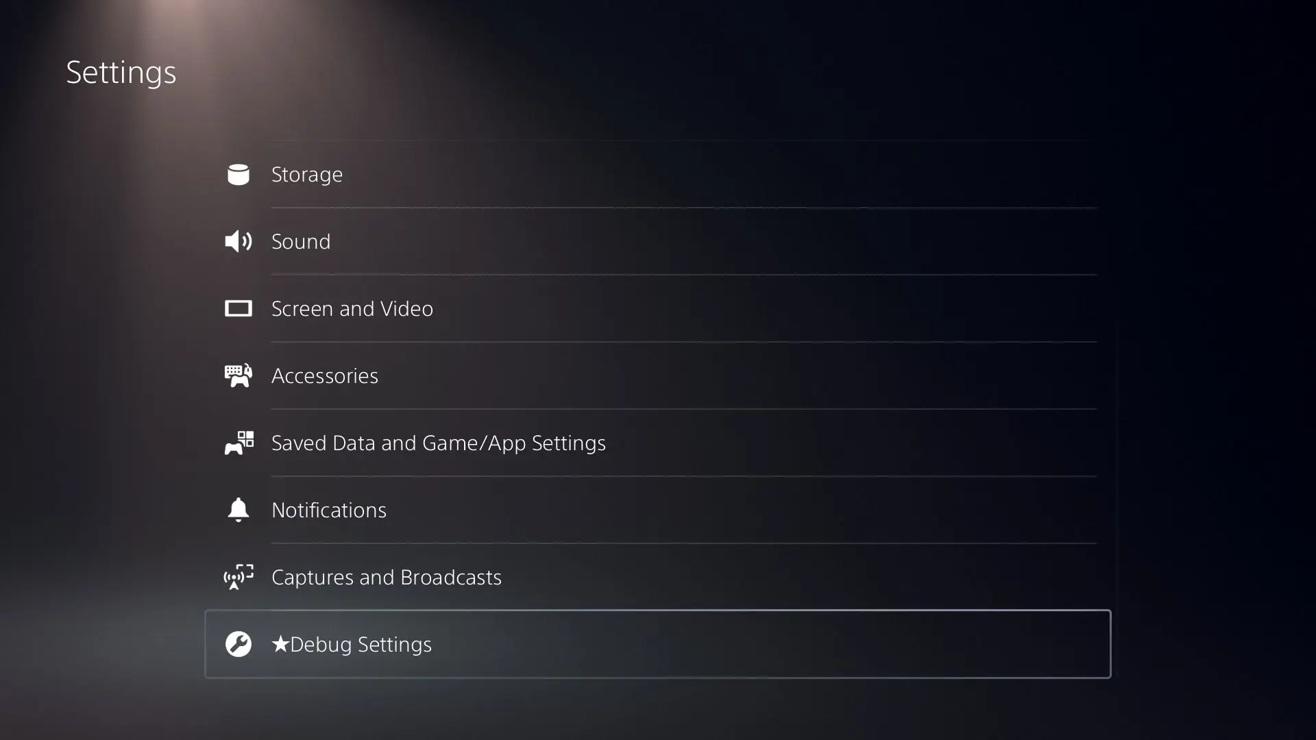 Zakładka Debug Settings